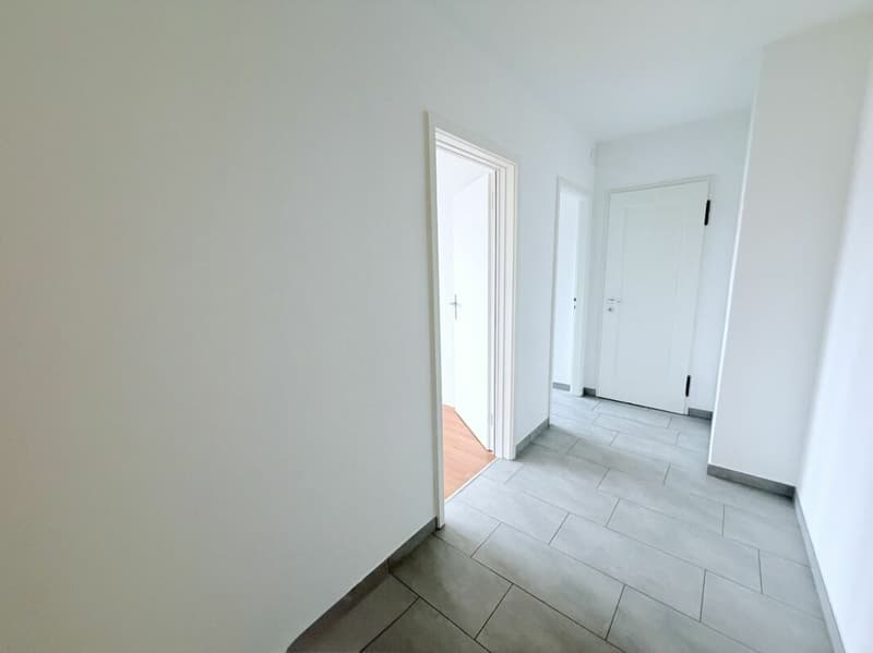 Appartement de 2.0 pièces avec exposition sud - Lumineux et fonctionnel (4)