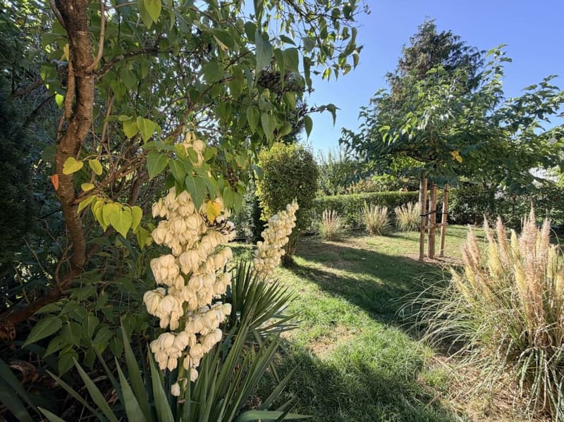 Maison individuelle de 5.5 pièces avec cheminée et jardin (8)