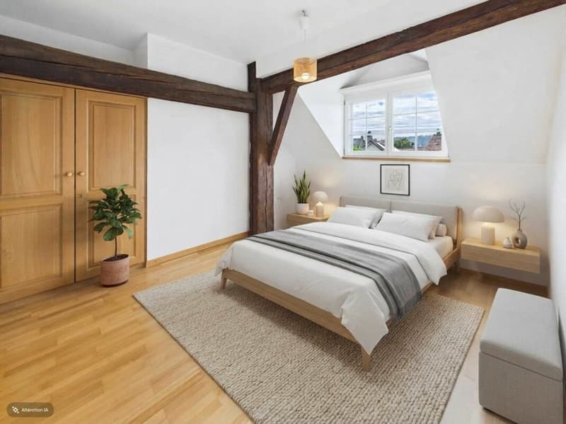Maison individuelle de 5.5 pièces avec cheminée et jardin (5)