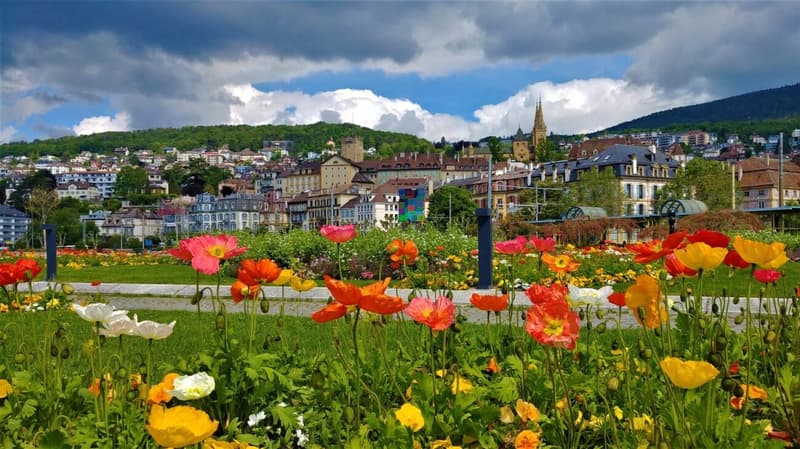 ARCADE COMMERCIALE RÉNOVÉE DE 26 M² AU COEUR DE NEUCHÂTEL (2)