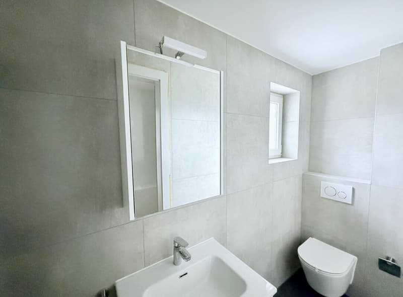 APPARTEMENT DE 4.5 PIÈCES ENTIÈREMENT RÉNOVÉ AVEC TERRASSE ET VUE SUR LA VALLÉE (8)