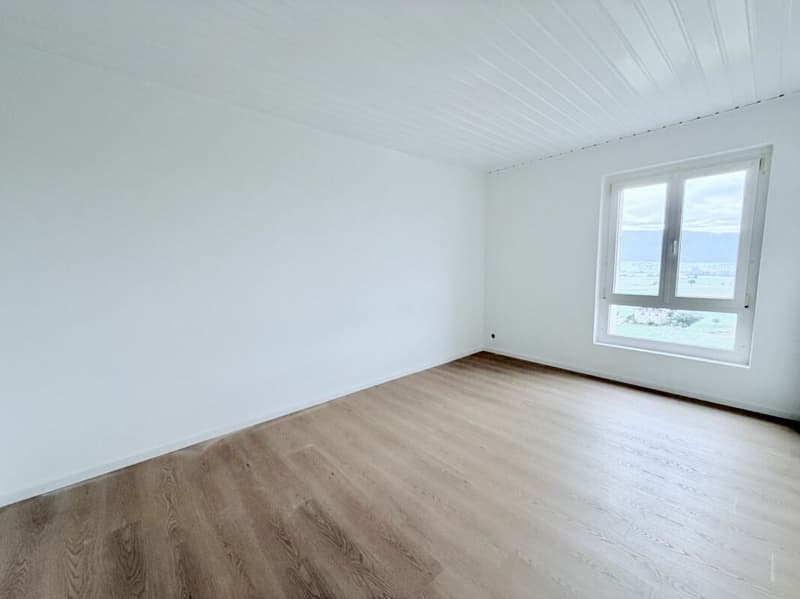 APPARTEMENT DE 4.5 PIÈCES ENTIÈREMENT RÉNOVÉ AVEC TERRASSE ET VUE SUR LA VALLÉE (5)