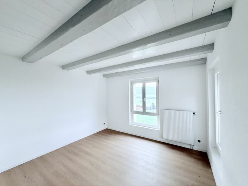 APPARTEMENT DE 4.5 PIÈCES ENTIÈREMENT RÉNOVÉ AVEC TERRASSE ET VUE SUR LA VALLÉE (4)