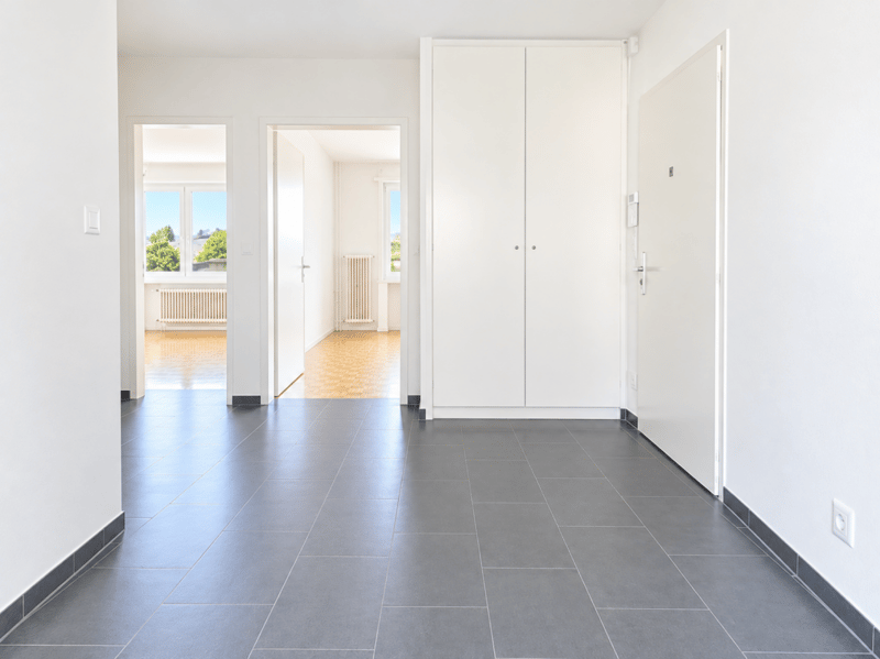 APPARTEMENT DE 3.5 PIÈCES RÉNOVÉ AVEC BALCON ET VUE SUR LE LAC ! (5)