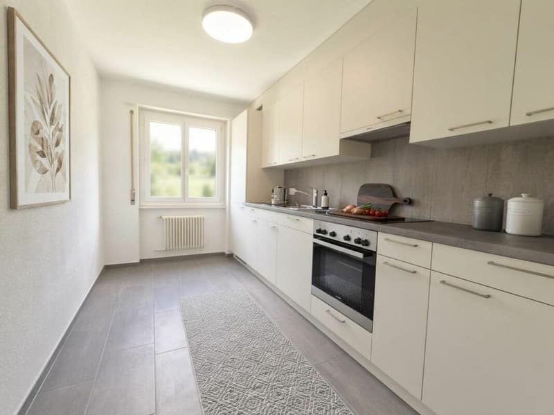 SPACIEUX 4.0 PIÈCES RÉNOVÉ DE 95 M² AVEC CHEMINÉE ET VUE SUR LA VALLÉE (2)