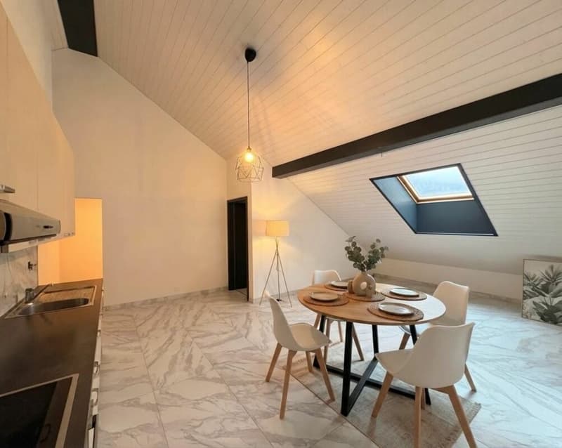 4.5 PIÈCES RÉNOVÉ AVEC TERRASSE À NOIRAIGUE (2)