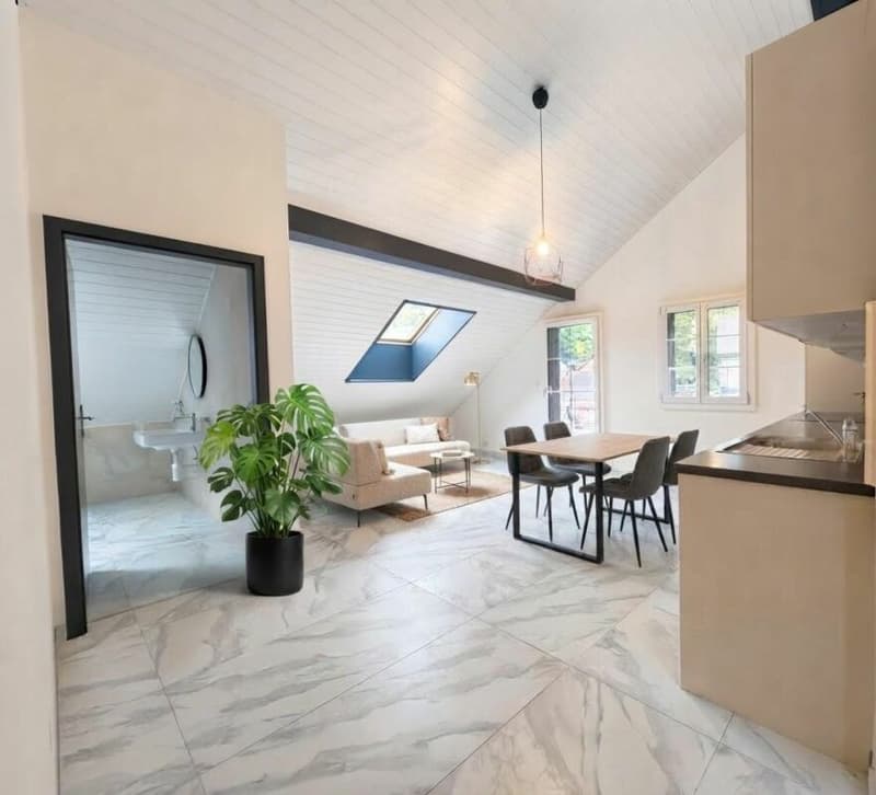 4.5 PIÈCES RÉNOVÉ AVEC TERRASSE À NOIRAIGUE (1)
