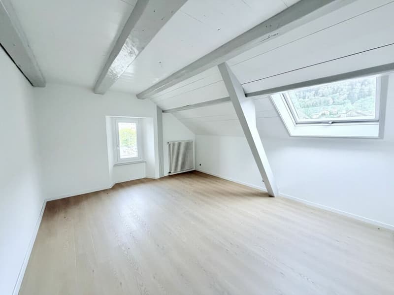 DISPONIBLE DE SUITE - SPACIEUX 4,5 PIÈCES RÉNOVÉ AVEC TERRASSE COUVERTE ET VUE DÉGAGÉE (3)