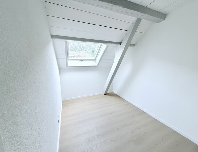 DISPONIBLE DE SUITE - SPACIEUX 4,5 PIÈCES RÉNOVÉ AVEC TERRASSE COUVERTE ET VUE DÉGAGÉE (6)