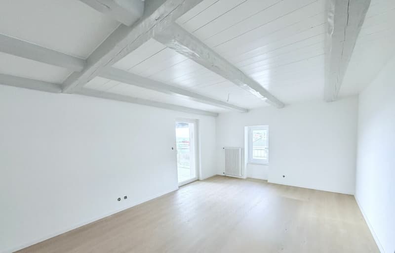 DISPONIBLE DE SUITE - SPACIEUX 4,5 PIÈCES RÉNOVÉ AVEC TERRASSE COUVERTE ET VUE DÉGAGÉE (2)