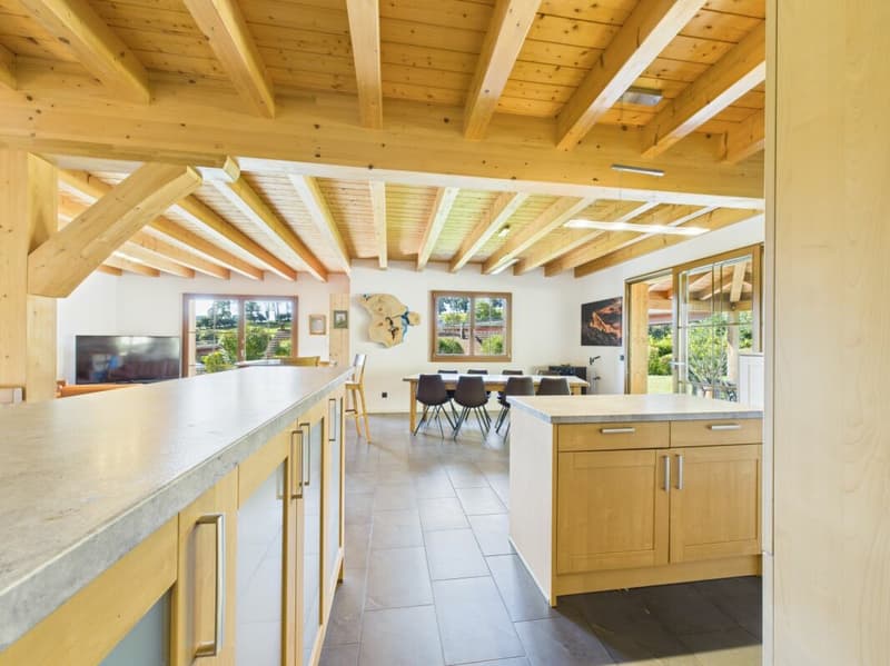 COLOCATION MEUBLÉE DANS UNE VILLA AVEC JARDIN ET PISCINE - DÈS CHF 695.-/MOIS ! (4)