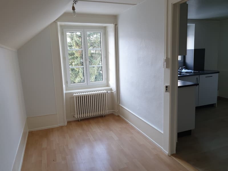 This image shows a bright and spacious room with white walls, a large window overlooking a wooded area, and a hardwood floor. The room appears to be a living room or bedroom, with a radiator visible along the wall. There is also a small cabinet or storage