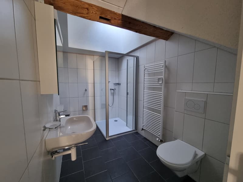 A bathroom with a white sink, shower stall, and white toilet.