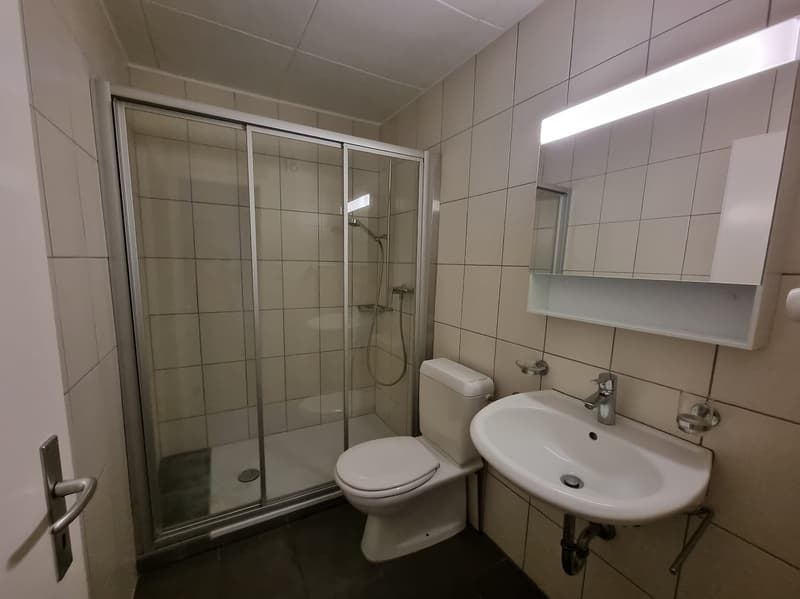 White tiled walls, walk-in shower, toilet, sink, silver sink faucet, glass cup, silver cabinet with mirror above