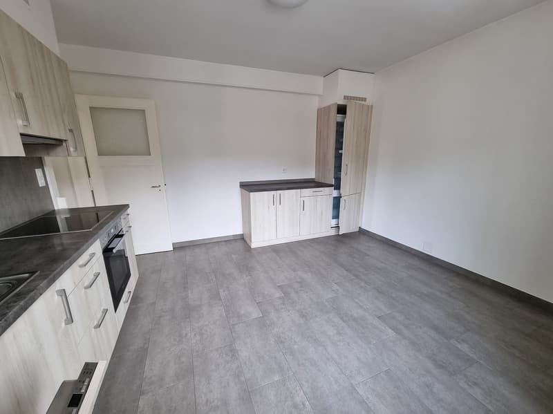 Ampio appartamento di 5,5 locali (2)