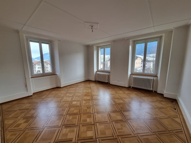 Ampio appartamento di 5,5 locali (4)