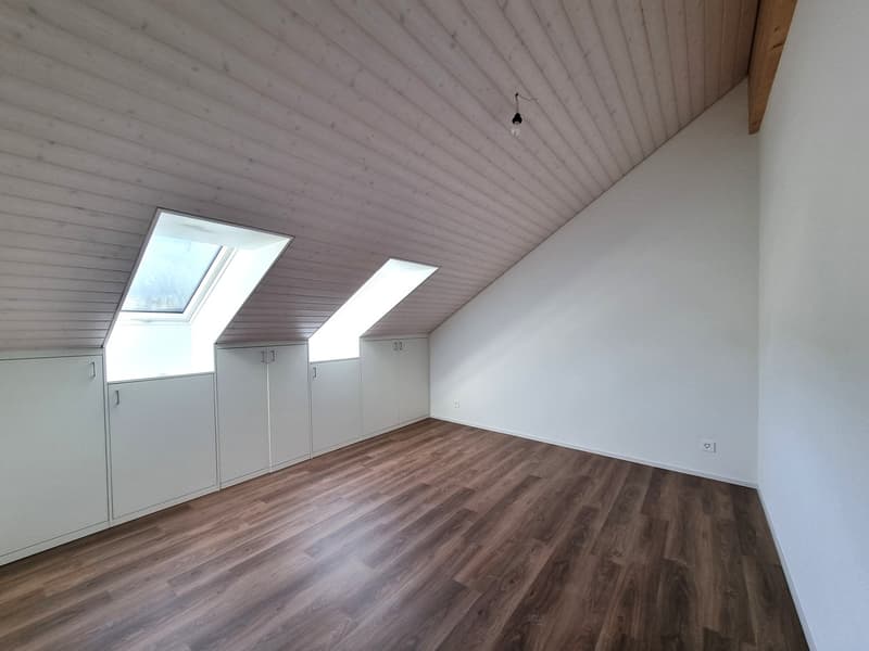 empty attic room with wooden floor, white walls, built-in cabinets, and skylights