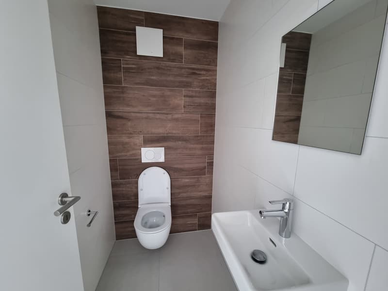 modern white ceramic sink, wooden wall, white ceramic toilet, mirror