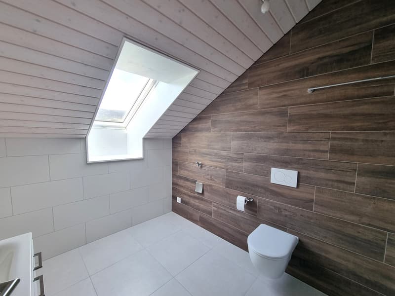 Magnifique appartement 4.5 pièces récemment refait à neuf  en duplex (14)
