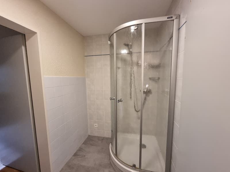 Spacious 4.5-room apartment with balcony in Couvet (14)