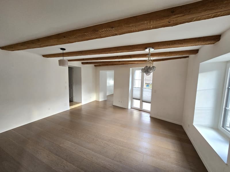 Beautiful individual house with 5.5 rooms on 3 floors with two terraces and private garden (4)