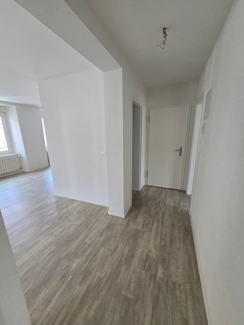 Appartement 3.5 pièces avec cachet au 1er étage (6)