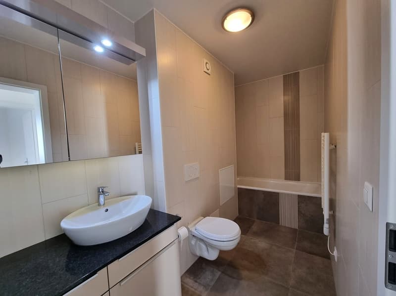 Wohnung 3.5 Zimmer mit Charme im 1. Stock (6)