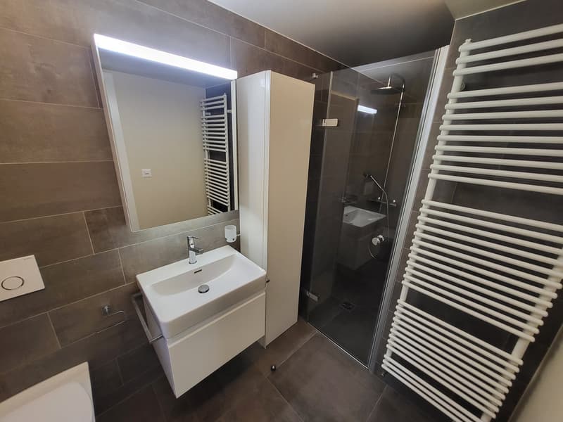 modern bathroom with white sink, mirror, shower, and toilet
