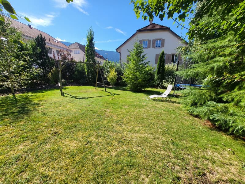 large green lawn, swing, lounge chair, trampoline, trees, bushes, house in the background