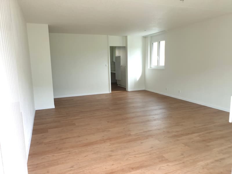 empty room, wooden floor, white walls, window, door to another room