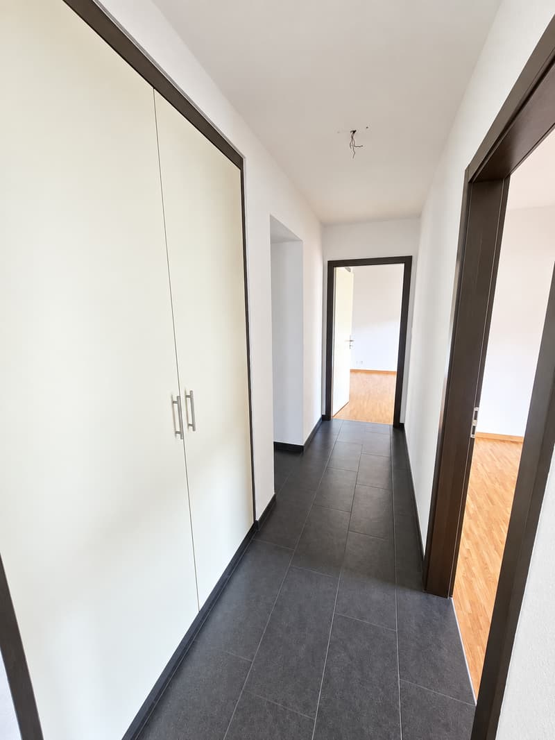 Joli appartement de 4 pièces avec poêle suédois et grand balcon dans un quartier très calme (7)
