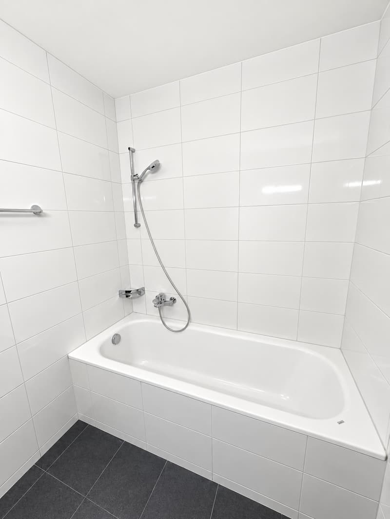 Joli appartement de 4 pièces avec poêle suédois et grand balcon dans un quartier très calme (14)