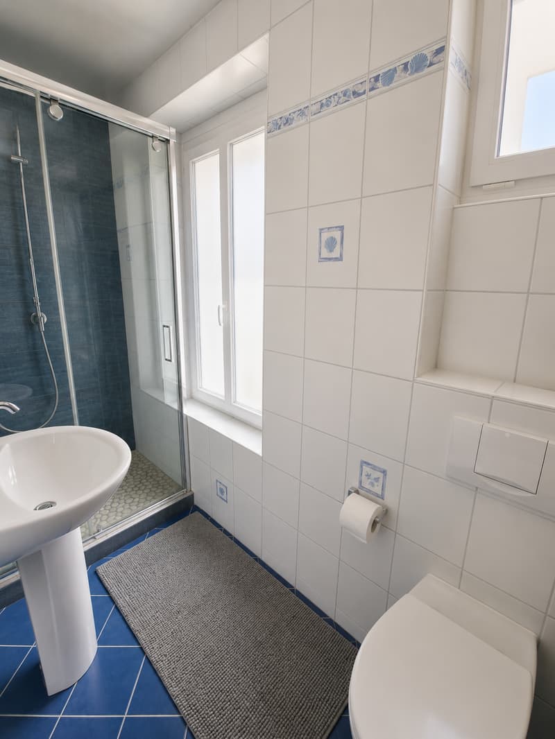 Superbo appartamento triplex di 5 locali al 1° piano con terrazza e giardino (13)