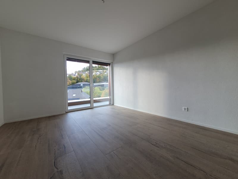 Splendido appartamento in mansarda di 3,5 locali con balcone e vista sul lago (7)