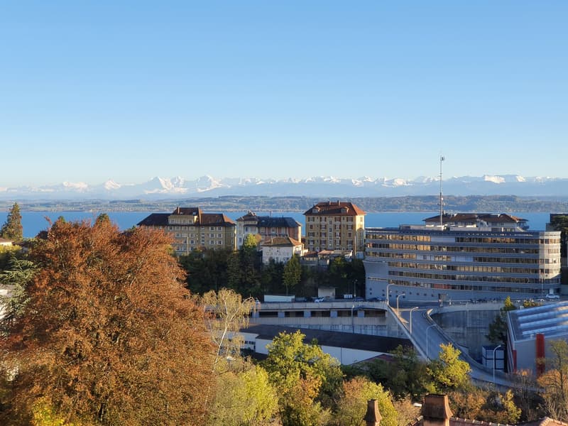 Splendido appartamento in mansarda di 3,5 locali con balcone e vista sul lago (11)