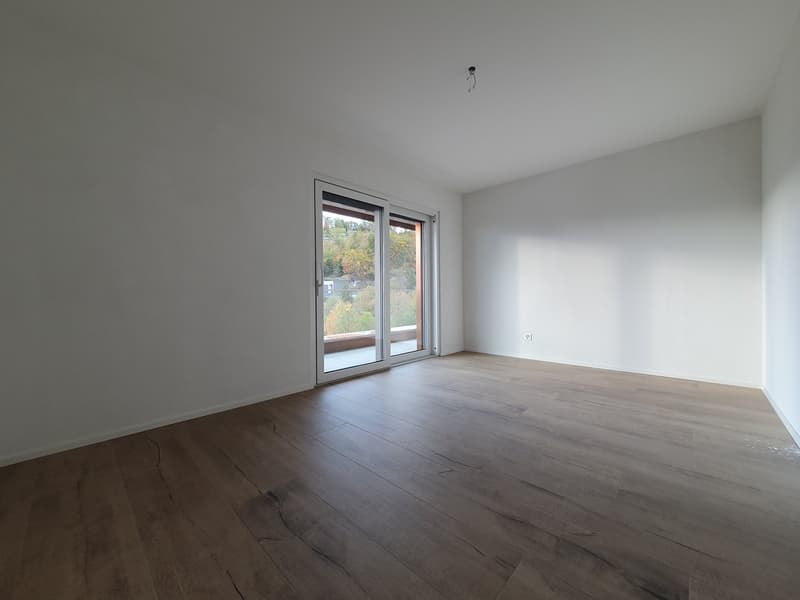 Splendido appartamento in mansarda di 3,5 locali con balcone e vista sul lago (6)