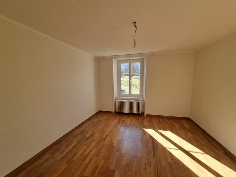 Appartamento di quattro locali recentemente ristrutturato (5)