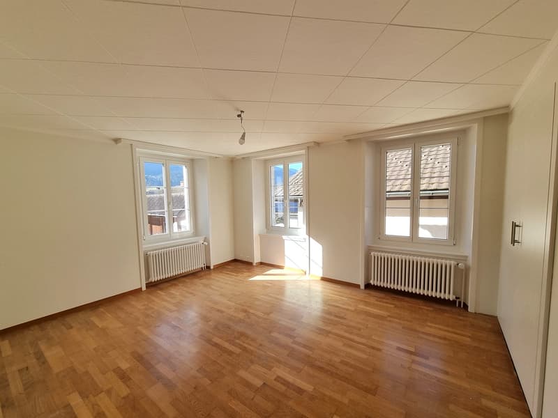 Appartamento di quattro locali recentemente ristrutturato (3)