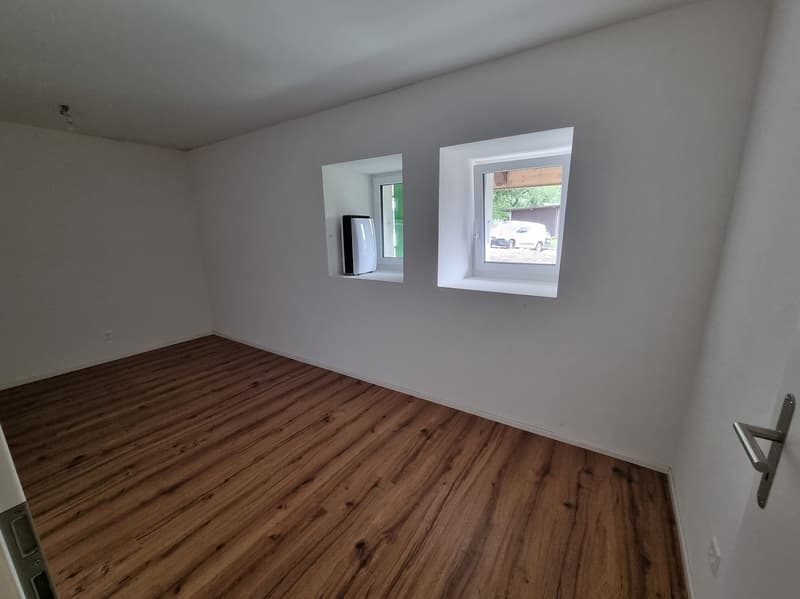 Grande appartamento di 4 locali recentemente ristrutturato (7)