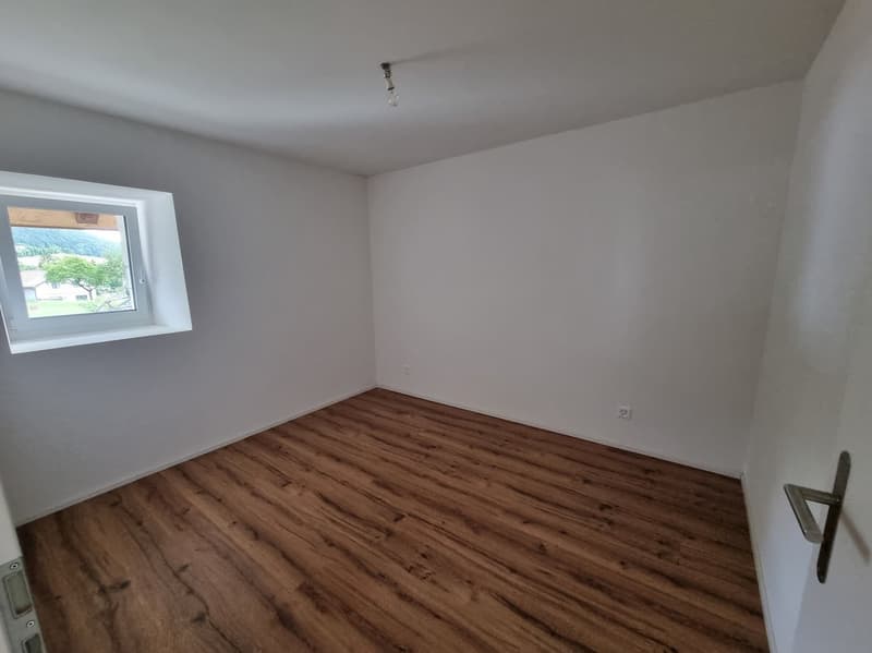 Grande appartamento di 4 locali recentemente ristrutturato (6)