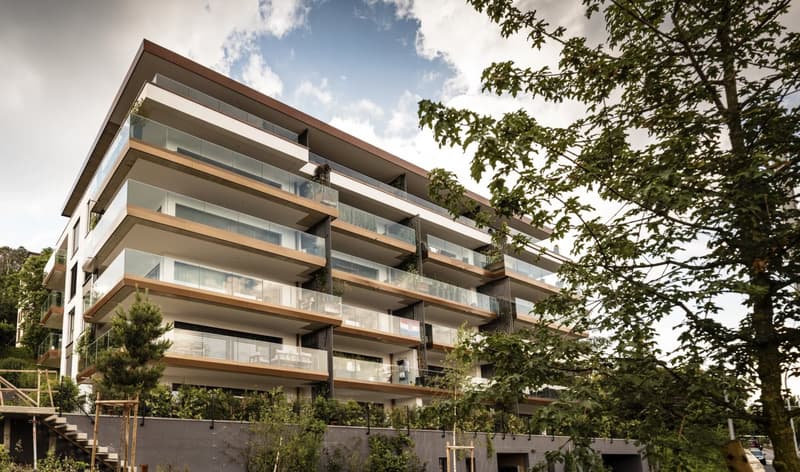 Splendido appartamento di 3,5 locali al piano terra con terrazza (5)
