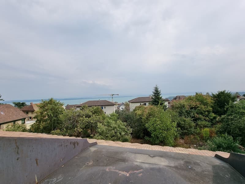 Charmants appartements neufs de 3,5 pièces au centre du village (3)