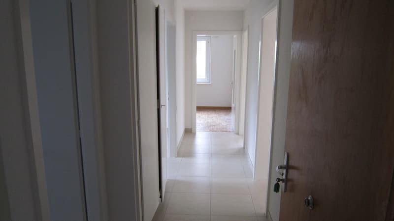 Appartement de 3 pièces avec balcon au rez-de-chaussée (4)