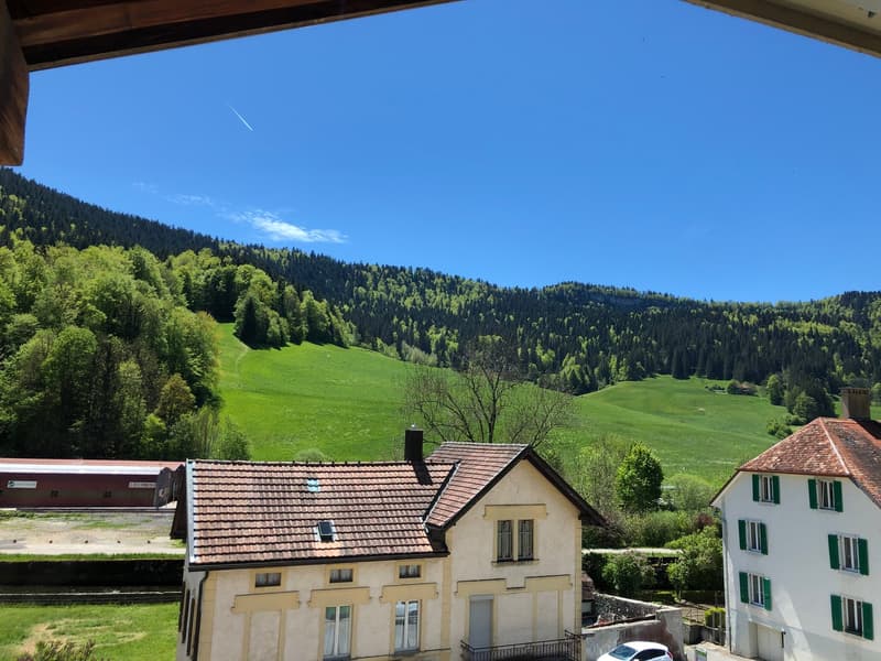 Charmant appartement de 3.5 pièces avec grand balcon (4)