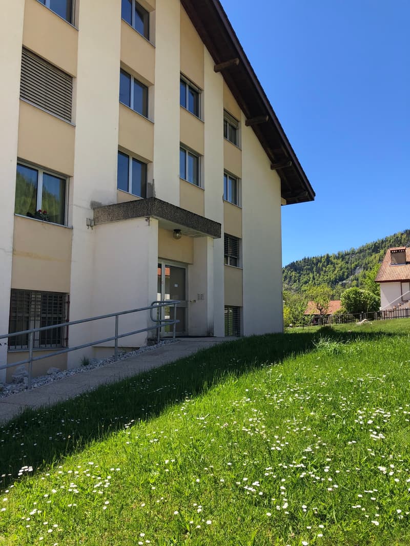 Charmant appartement de 3.5 pièces avec grand balcon (12)