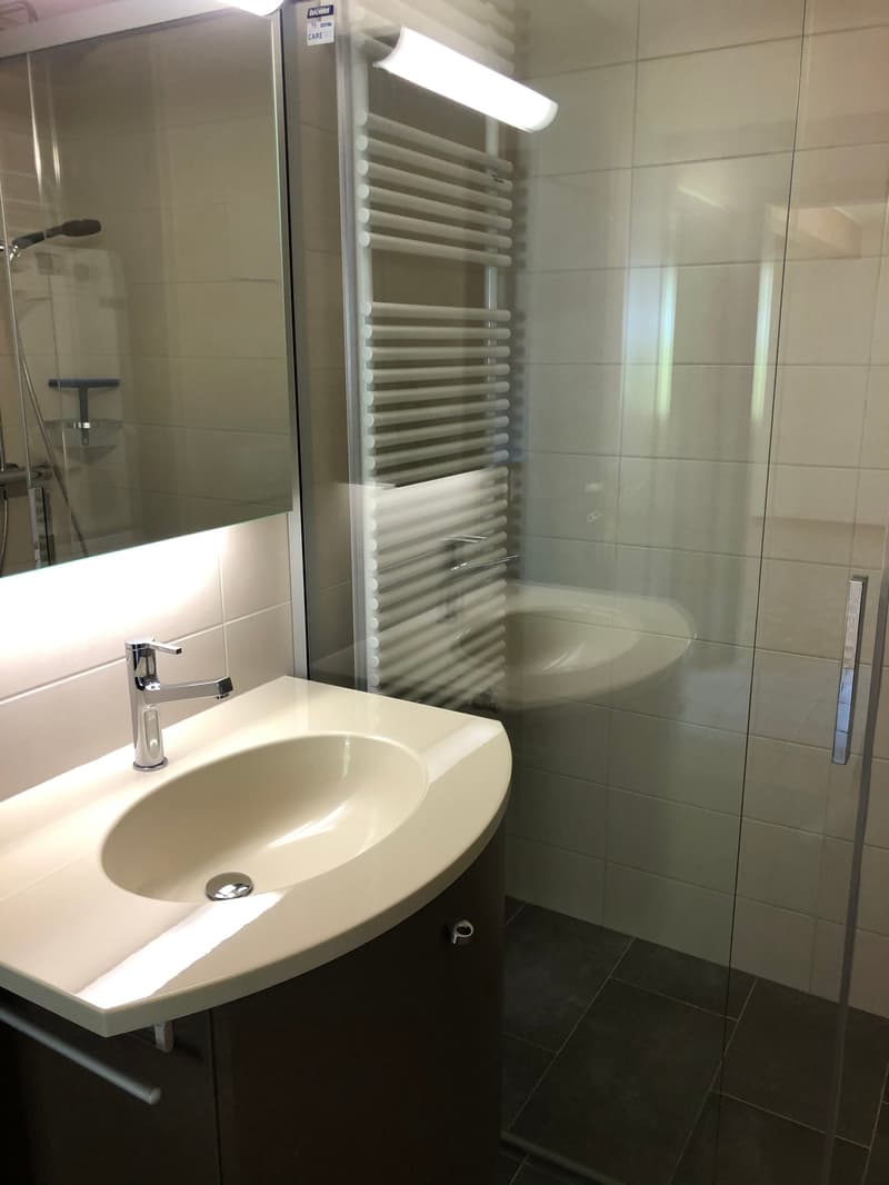 Charmant appartement de 3.5 pièces avec grand balcon (9)