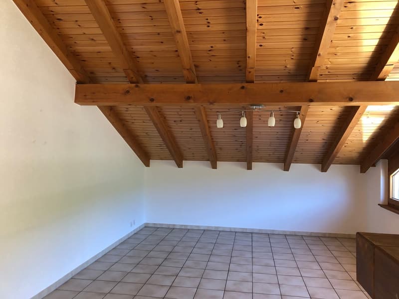 Charmant appartement de 3.5 pièces avec grand balcon (5)