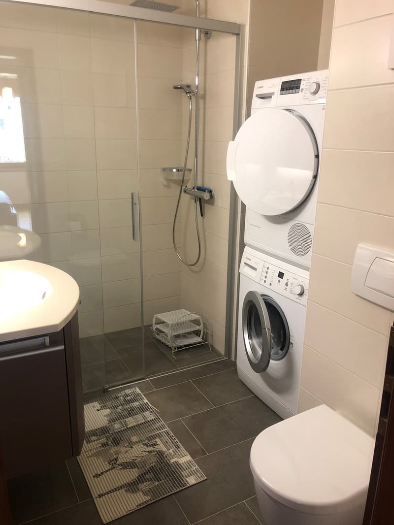 Charmant appartement de 3.5 pièces avec grand balcon (10)