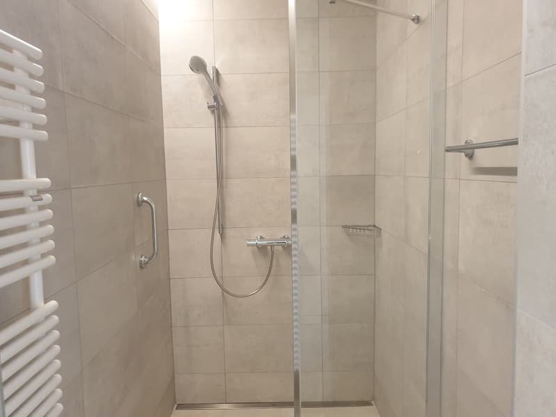 Magnifique appartement de 3.5 pièces avec jardin privatif (7)