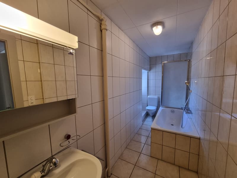 Bello appartamento parzialmente ristrutturato di 4,5 locali con balcone e giardino comune (12)